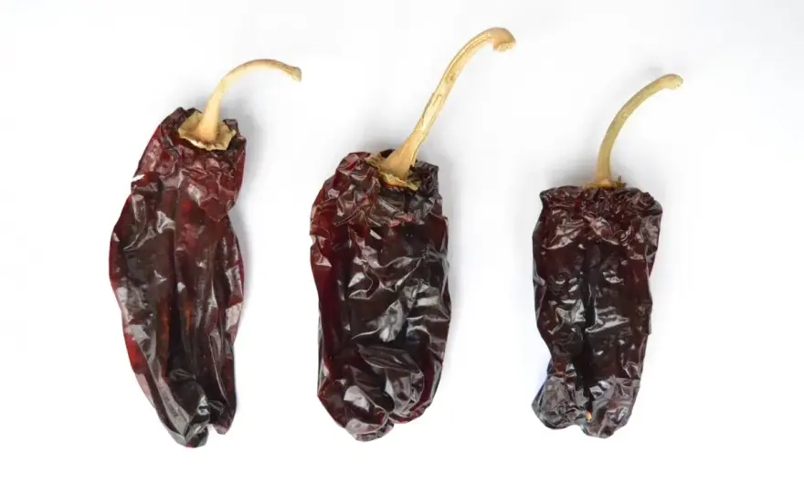 Pimiento choricero - ¿Sabes usarlo? Guía completa